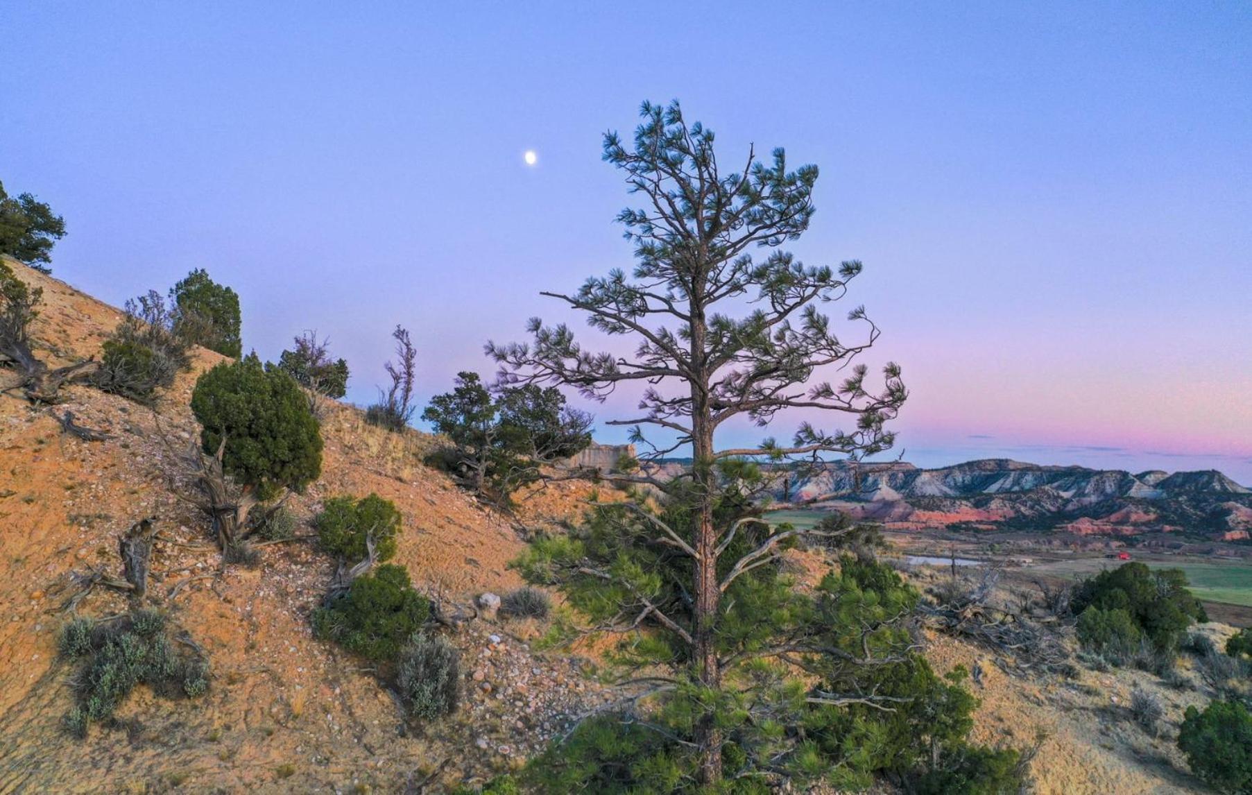 Clear Sky Resorts - Bryce Canyon - Unique Stargazing Domes Канънвил Екстериор снимка